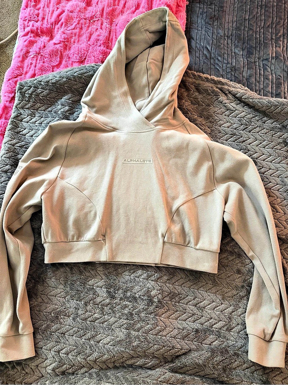 Alphalete Identity Cropped Hoodie gray